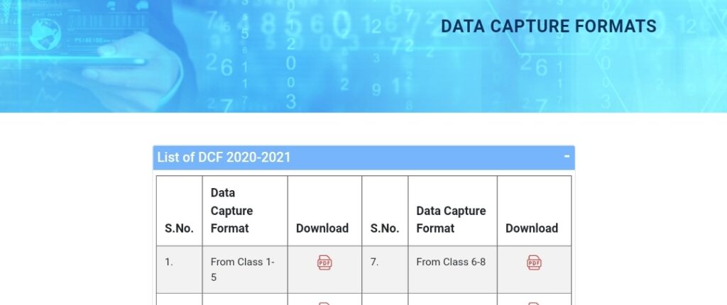 Data Capture Format