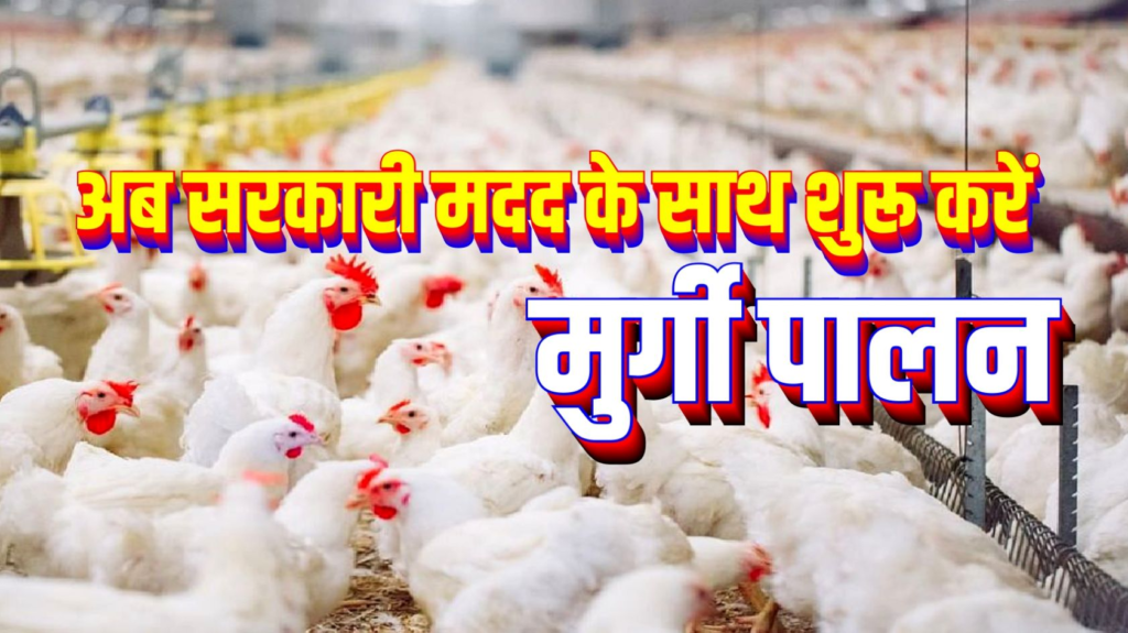 UP Poultry Farming Subsidy Scheme