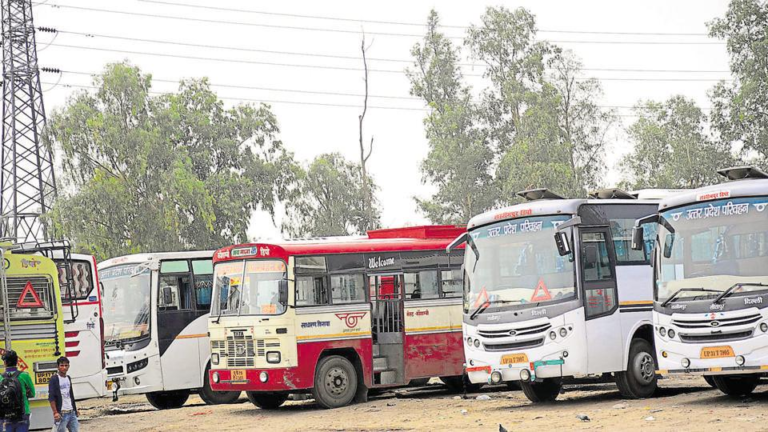 up free bus services