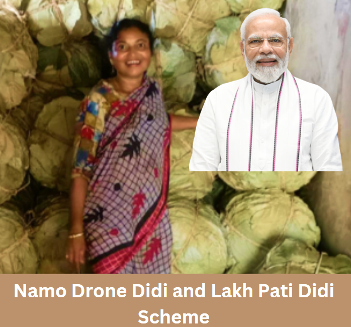 Namo Drone Didi and Lakhpati Didi Scheme: Apply Online